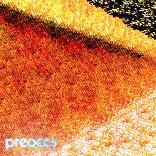 Preoccupations - Mur/Ponr [Colored Vinyl] (Ylw)