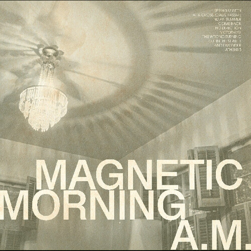 Artist - A.M. vinyl record cover