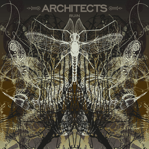 Architects - Ruin [Limited Edition] (Pict)