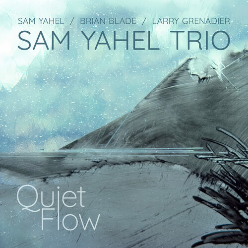Sam Yahel - Quiet Flow vinyl record cover