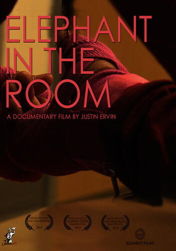 Elephant in the Room