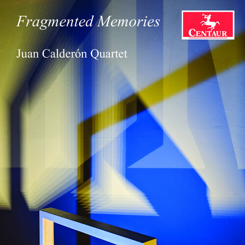 Fragmented Memories