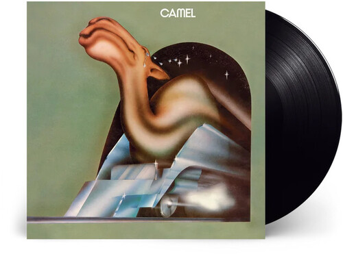 Camel [Import]