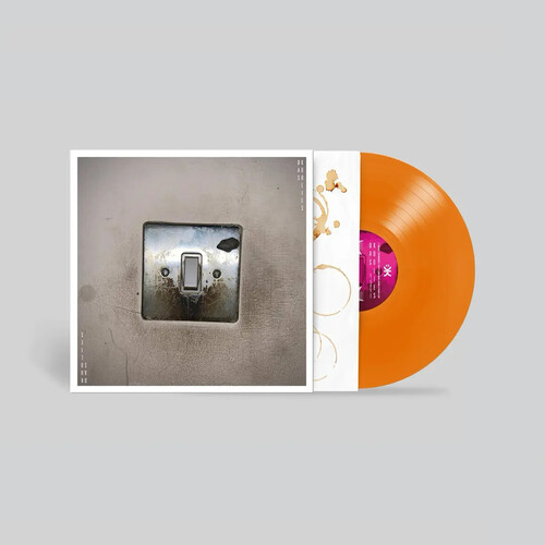 Pando - Orange