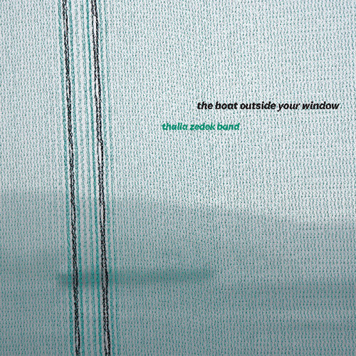 Artist - The Boat Outside Your Window vinyl record cover