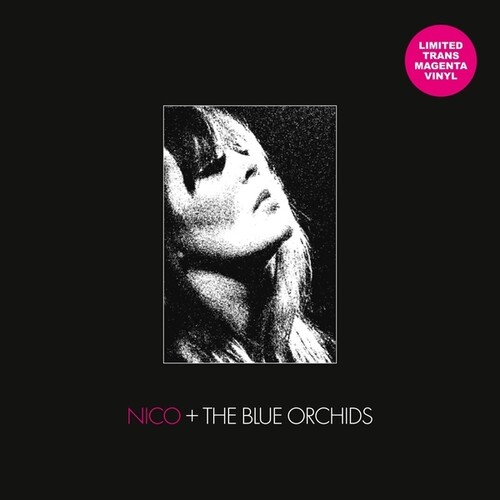 Nico / Blue Orchids - Live & In Session 1982 vinyl record cover