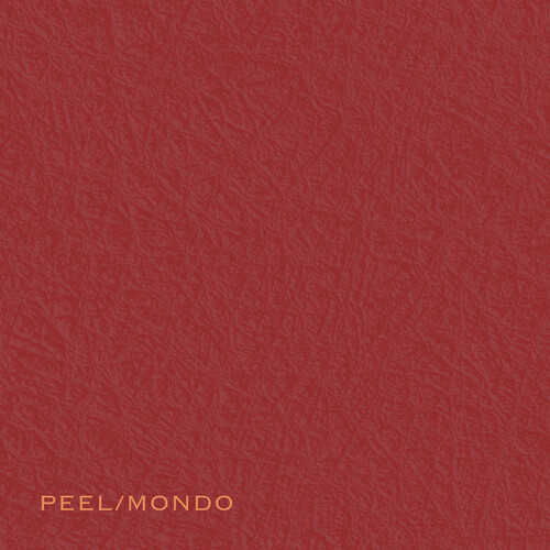 Ada Rave - Peel/Mondo vinyl record cover