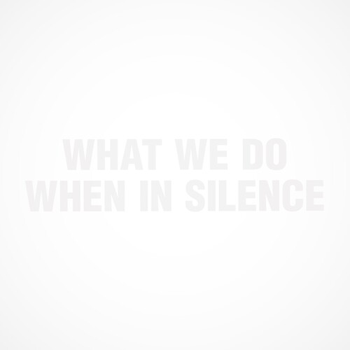 WHAT WE DO WHEN IN SILENCE