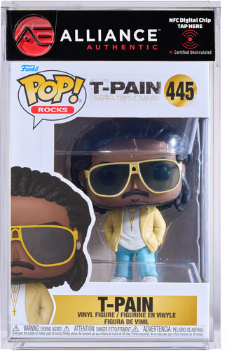T-PAIN RAPPA TERNT SANGA
