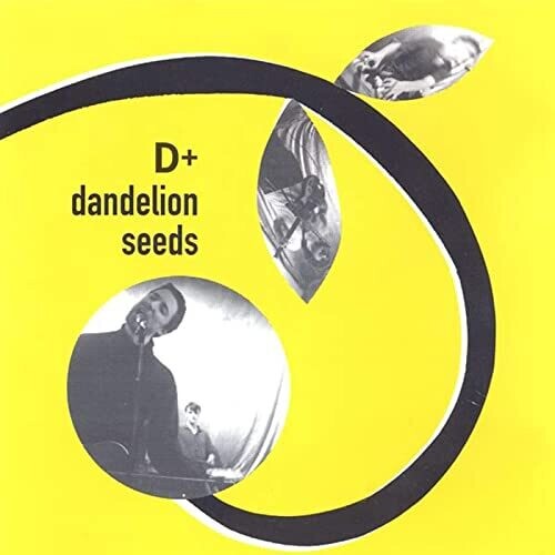 DANDELION SEEDS
