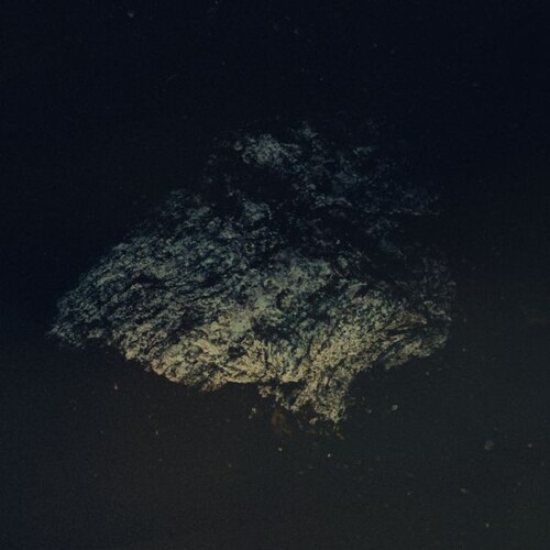 Multicast Dynamics - Lost World