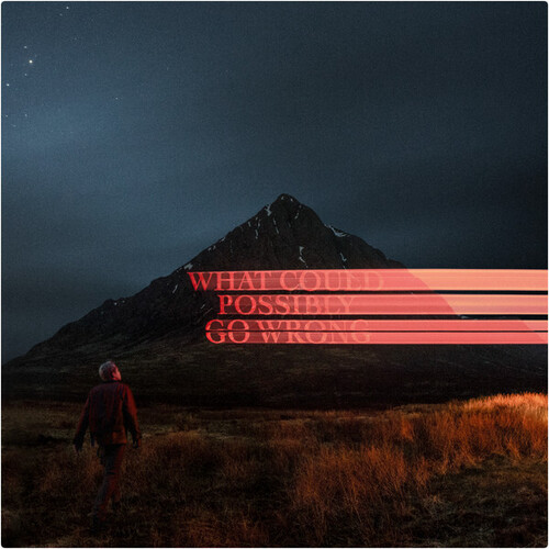 Dominic Fike - What Could Possibly Go Wrong [Clear Vinyl] (Gate) (Ofv)