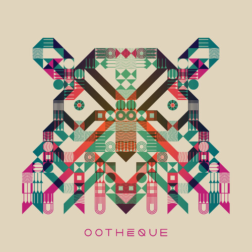 Ootheque