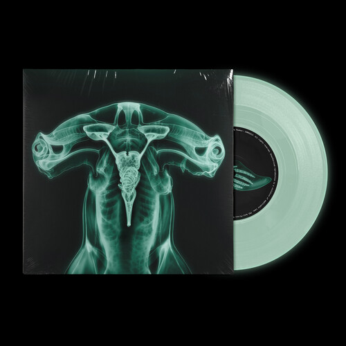 Shark Brain /  Dolphin - Glow in the Dark