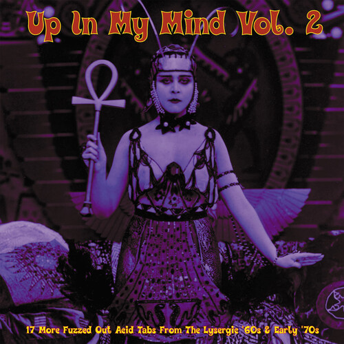 Up In My Mind Vol 2: 17 More Fuzzed Out Acid / Var - Up In My Mind Vol 2: 17 More Fuzzed Out Acid / Var vinyl record cover