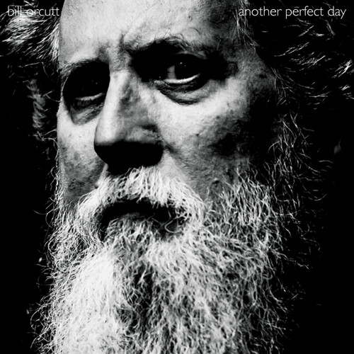 Bill Orcutt - Another Perfect Day vinyl record cover