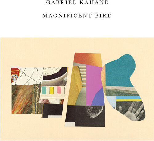 Magnificent Bird
