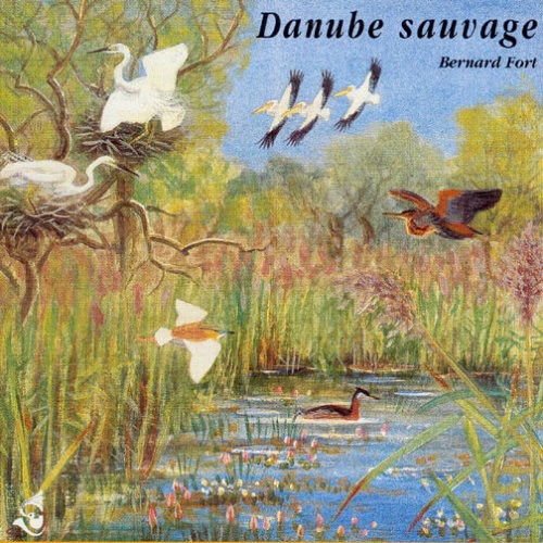 Wild Danube