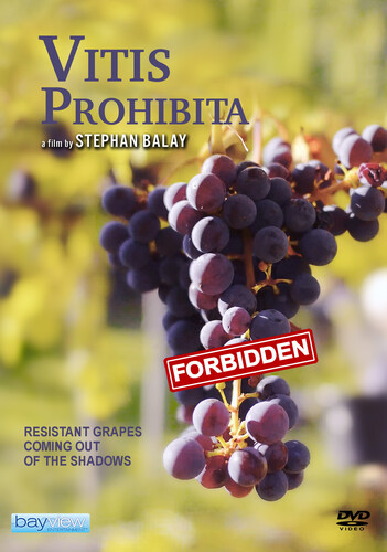 Vitis Prohibita