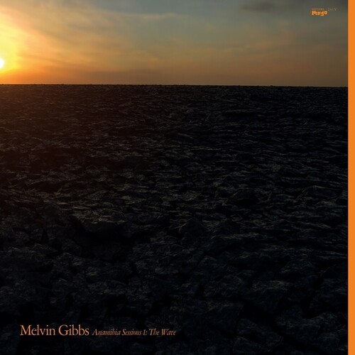 Melvin Gibbs - Anamibia Sessions 1: The Wave