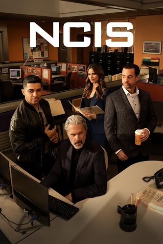 NCIS: Naval Criminal Investigative Service: The Twenty-Second Season