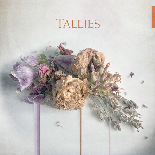 Tallies - Tallies vinyl record cover