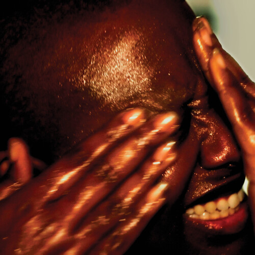 Cecile McLorin Salvant - Oh Snap vinyl record cover