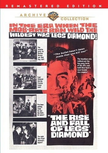 RISE & FALL OF LEGS DIAMOND