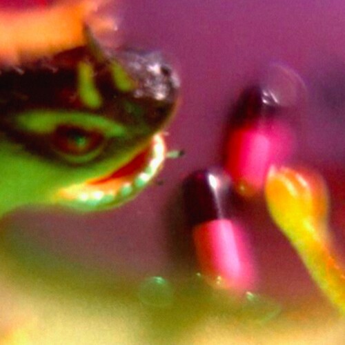Take the Fall|Bush Tetras
