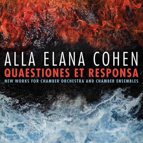 Quaestiones Et Responsa