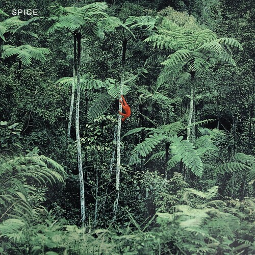 Spice - Spice - Grey [Colored Vinyl] (Gry)