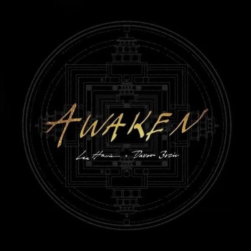 Lee Harris & Davor Bozic - Awaken - Gold [Colored Vinyl] (Gol)