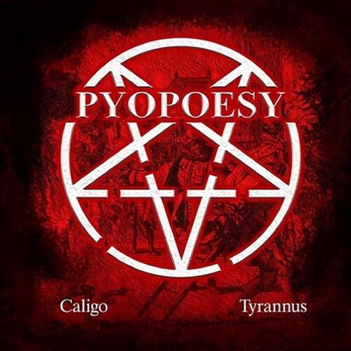 Caligo /  Tyrannus