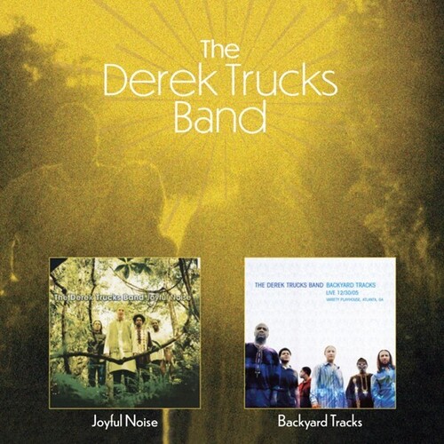Joyful Noise /  Backyard Tracks [Import]