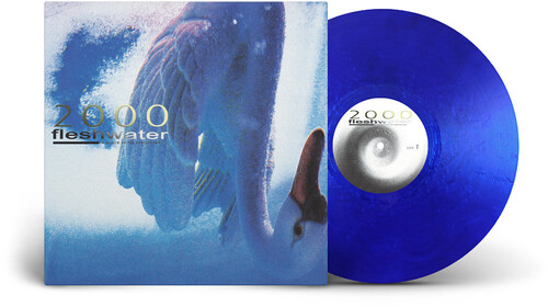 Fleshwater - 2000: In Search Of The Endless Sky vinyl record cover