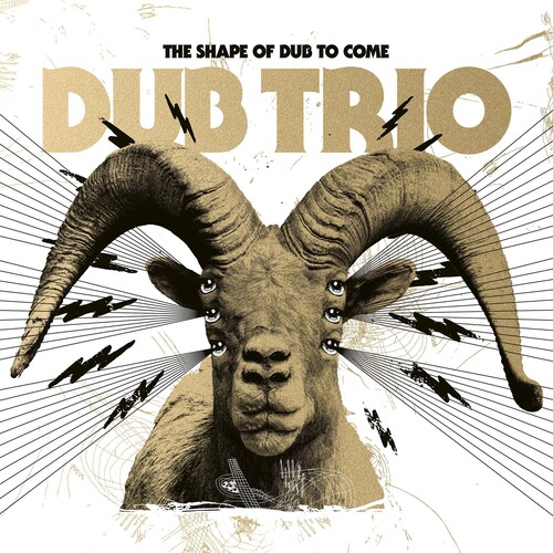 Dub Trio - Shape Of Dub To Come vinyl record cover
