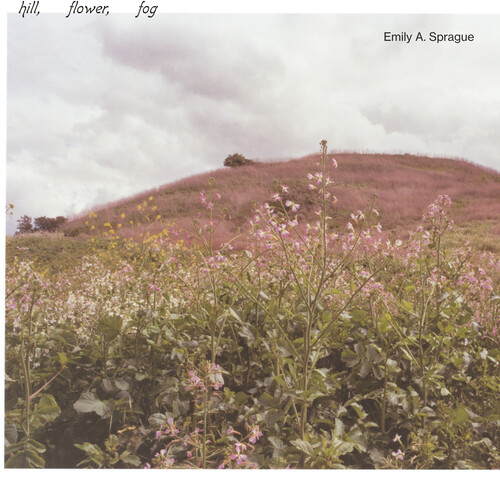 Hill, Flower, Fog