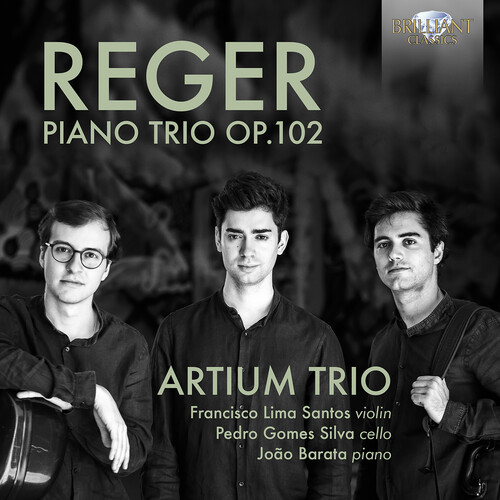 Piano Trio 102