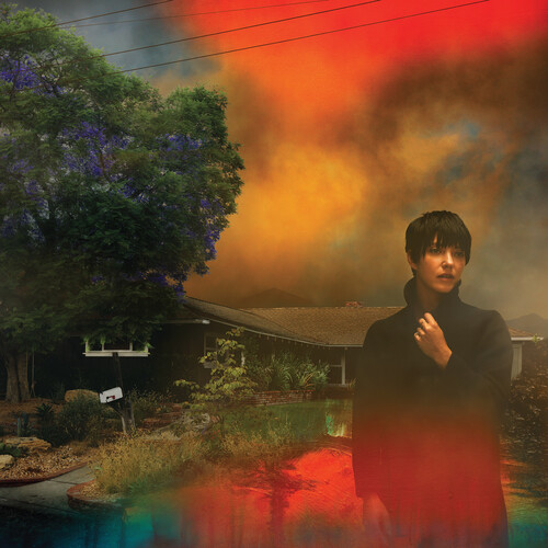 Sharon Van Etten - We've Been Going About This All Wrong [Marbled Smoke LP]