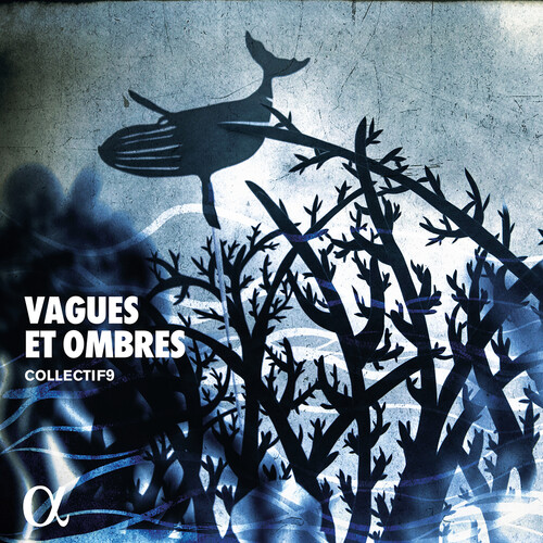 Vagues Et Omb