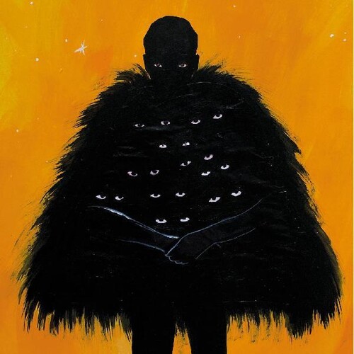 Anjimile - The King vinyl record cover