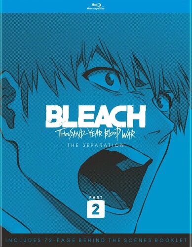 Bleach: Thousand-year Blood War Part 2