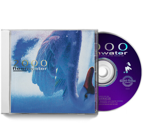 2000: In Search Of The Endless Sky