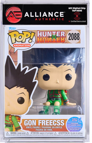 HUNTER X HUNTER GON FREECSS