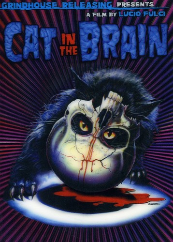 A Cat in the Brain