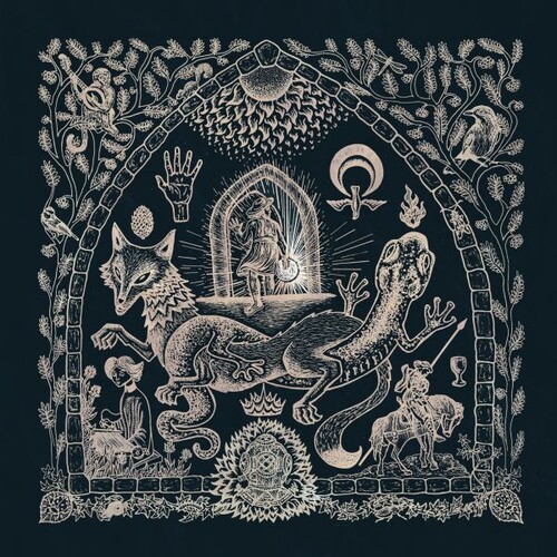 Petrels - Dusk Loom vinyl record cover