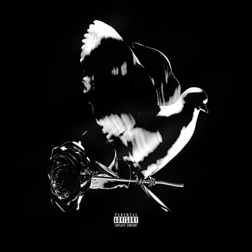 Shoot For The Stars Aim For The Moon [Explicit Content]