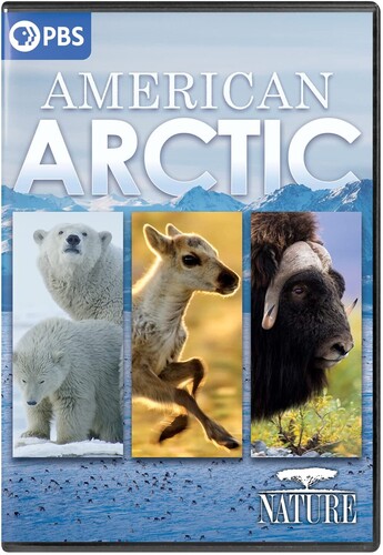 Nature: American Arctic - Nature: American Arctic