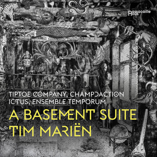 Basement Suite