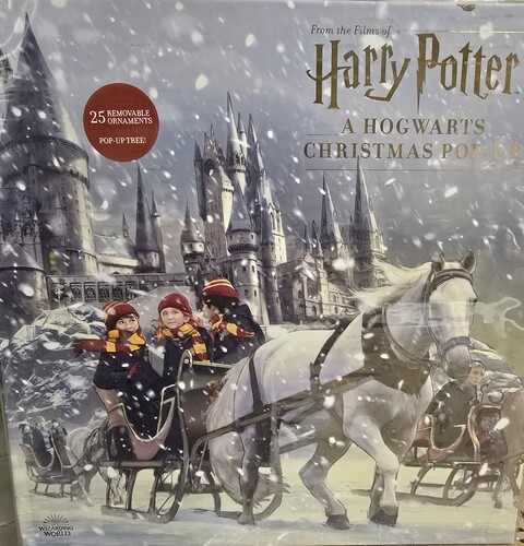 HARRY POTTER 24 DOOR ADVENT